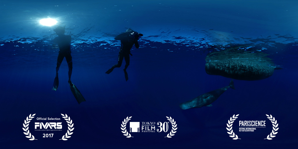 Dolphin Man RCM 2019