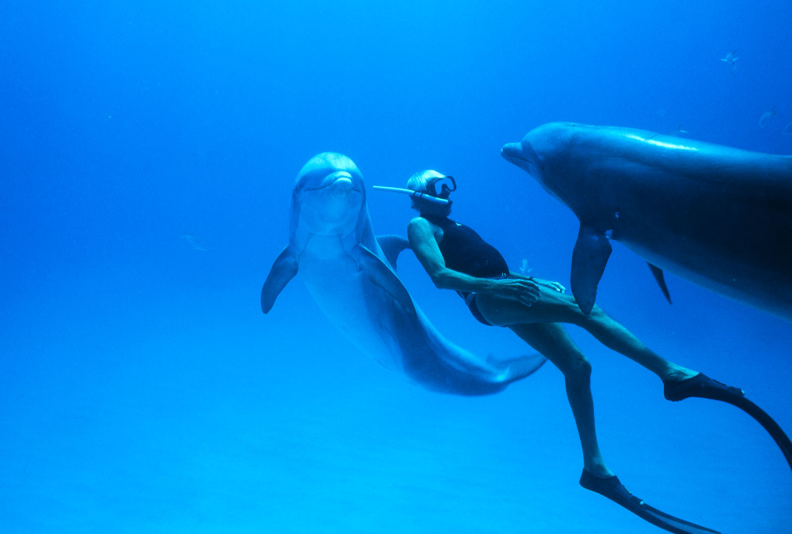 L’homme dauphin Dolphin man Jacques Mayol RCM 2019