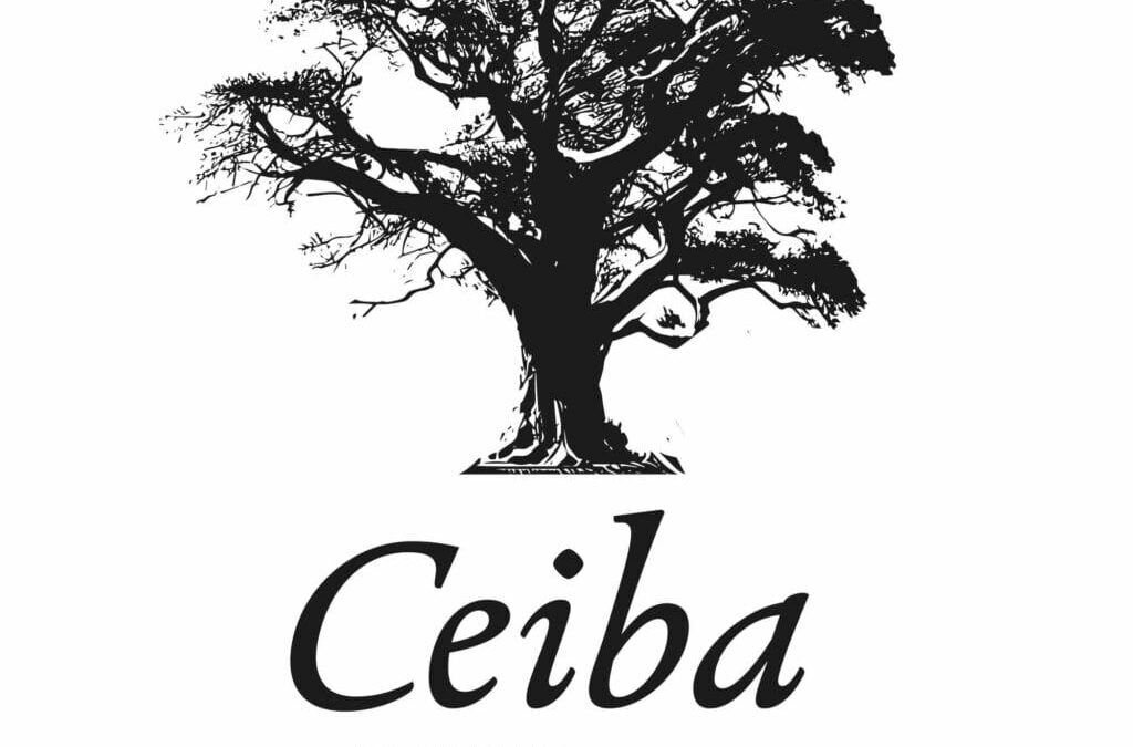 Rencontre d’auteurs et autrices – Ceiba 2023